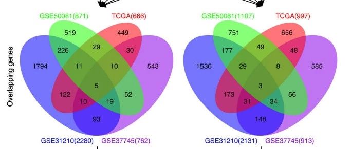 4+GEO和TCGA 肺癌预后分析思路分享