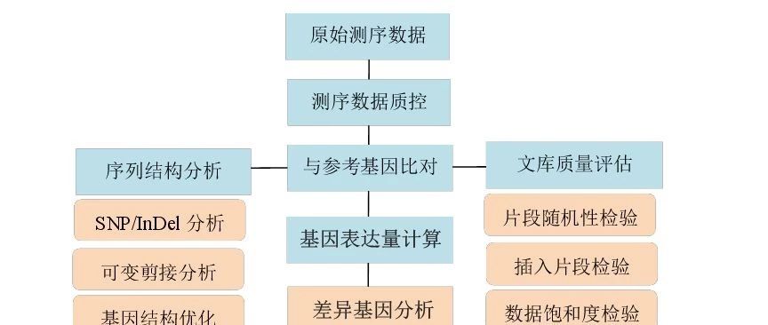 小鬼的转录组测序分析专题（六）-SRA数据库介绍
