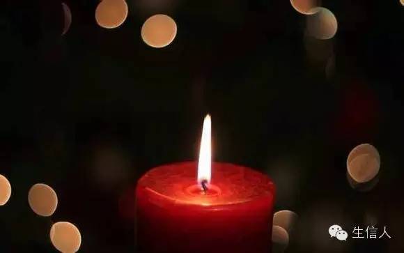 人人都是“魏则西