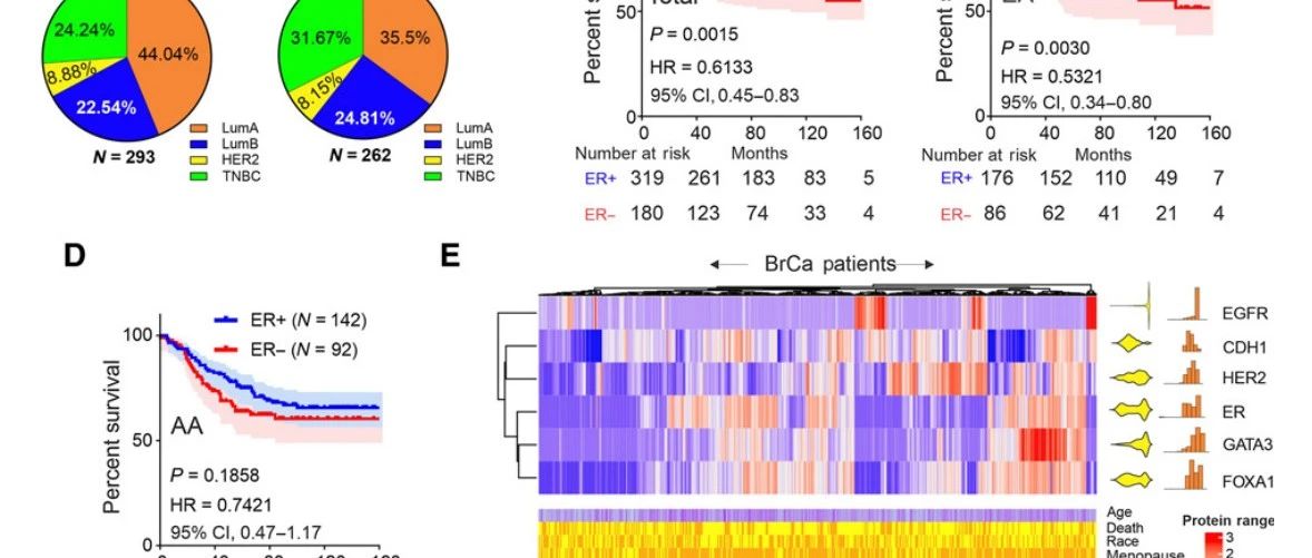 Clinical Cancer Research|乳腺癌种族预后差异研究