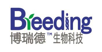 号外|陕西博瑞德生物招聘了