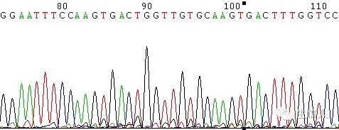 生信人16年浏览量最高文章推荐-黄金测序