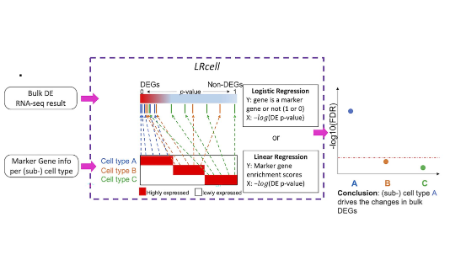 LRcell：从RNA-seq数据中在亚细胞水平上检测差异表达来源