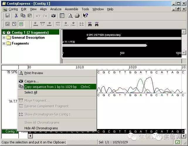 ContigExpress软件拼接