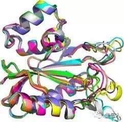 蛋白质分析常用数据库及工具汇总