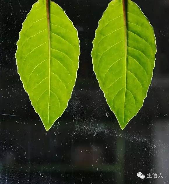 论实验的可重复性