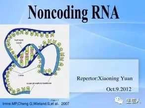 miRNA-LncRNA-单细胞RNA分析软件汇总