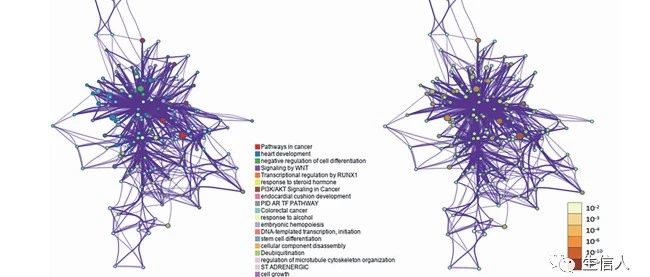 Frontiers in Oncology|与年龄相关的胆管癌基因组研究