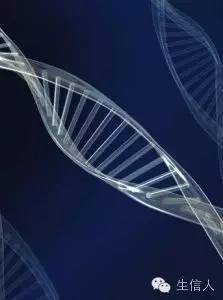 二代测序中barcodes index的介绍