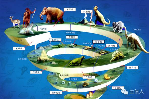 如何构建物种发育树