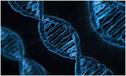 推广|TCGA数据库数据挖掘与探索学习班