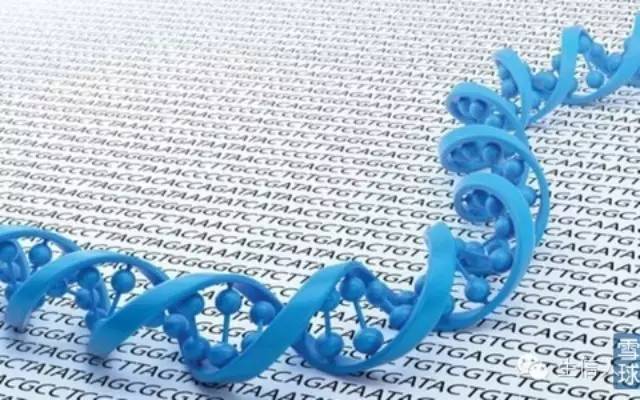 基因测序的商业模式