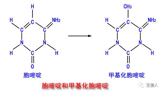 DNA 甲基化数据分析流程