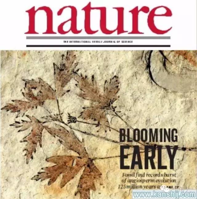 《自然》盘点2015年度最佳科学图片