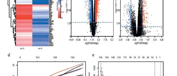 5+ONCOIMMUNOLOGY |前列腺癌Gleason评分相关预后研究