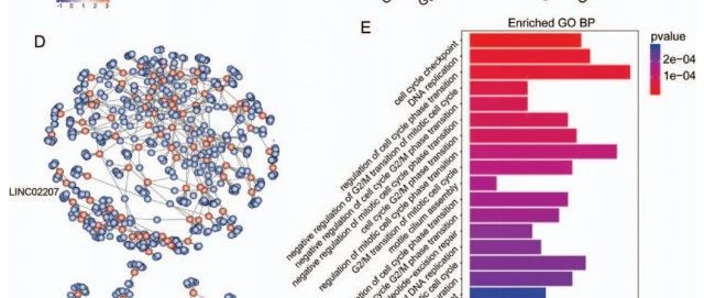 8+|公开数据库纯生信|肿瘤基因组不稳定性相关lncRNA分析