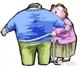 高脂肪导致后代肥胖