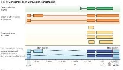 三代全长转录组辅助基因预测