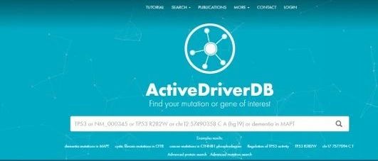 数据库介绍之ActiveDriverDB