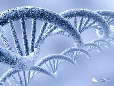 生物信息分析员前景调查问卷