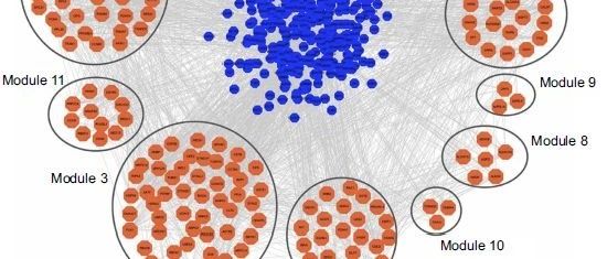 mRNA、miRNA联合研究肝癌预后