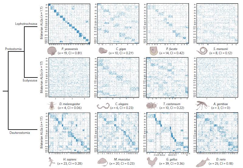 推广：6.8-10生物信息学数据分析在 农业科研中的应用培训班--内蒙古专场