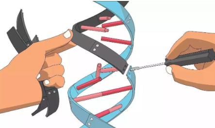 走进科学之探秘上帝的手术刀