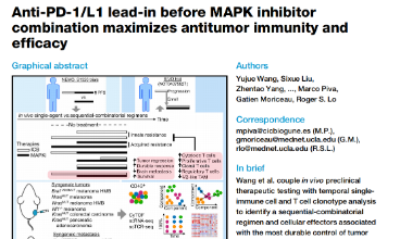 1+1>2?在MAPK抑制剂联合使用前引入抗pd -1/L1可最大限度地提高抗肿瘤免疫和疗效