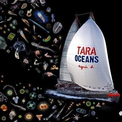 当代的小猎犬号——TARA号远航及其浮游生物微生物组项目速览
