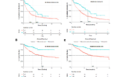 SXR202206024C+非小细胞肺癌的临床实效研究[outcomes research]