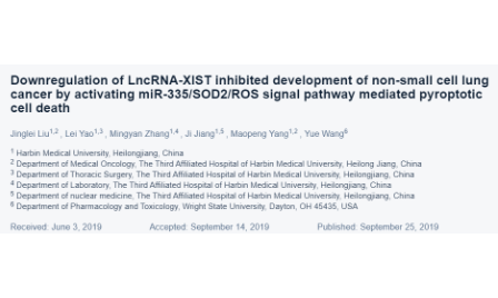 LncRNA-XIST表达下调后通过激活miR-335/SOD2/ROS信号通路介导细胞焦亡来抑制非小细胞肺癌的发展