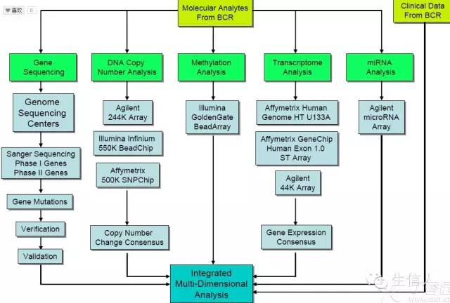 下载TCGA数据的工具