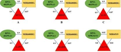 肿瘤mRNA–lncRNA–miRNA分析思路