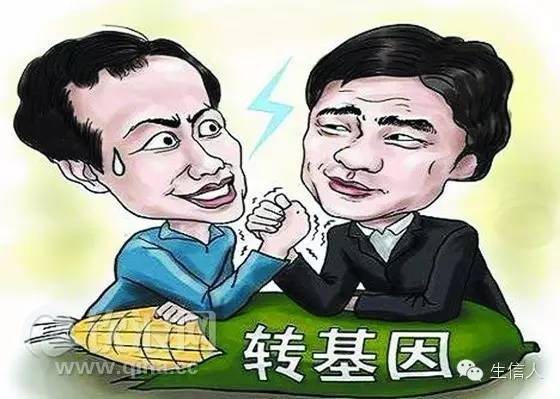 投票->转基因食品安全吗？