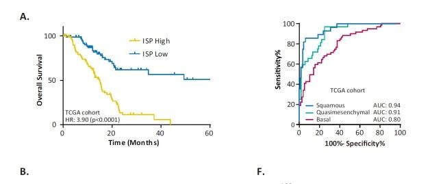 Clinical Cancer Research|震惊最简单预后signature能发10分！！！