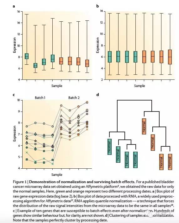 如何处理批次效应（batch effect）