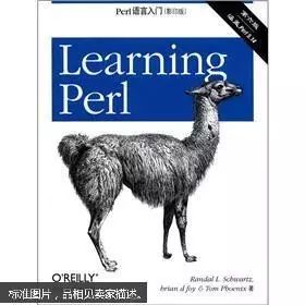 小动作之perl命令行