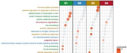 AML预后相关的lncRNA，纯生信8+