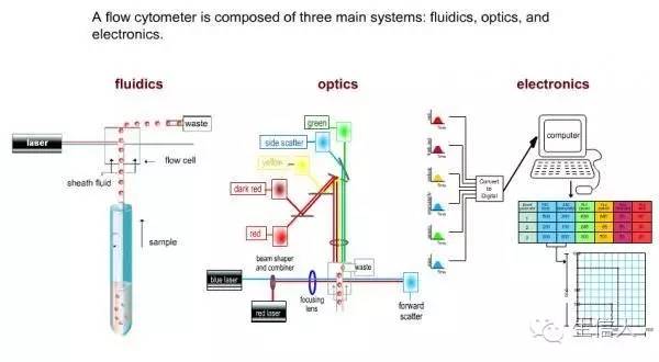 流式细胞仪(Flow Cytometry):镏金岁月50年