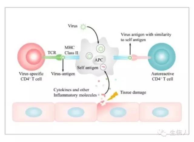 ppt排版组图，万能的ppt