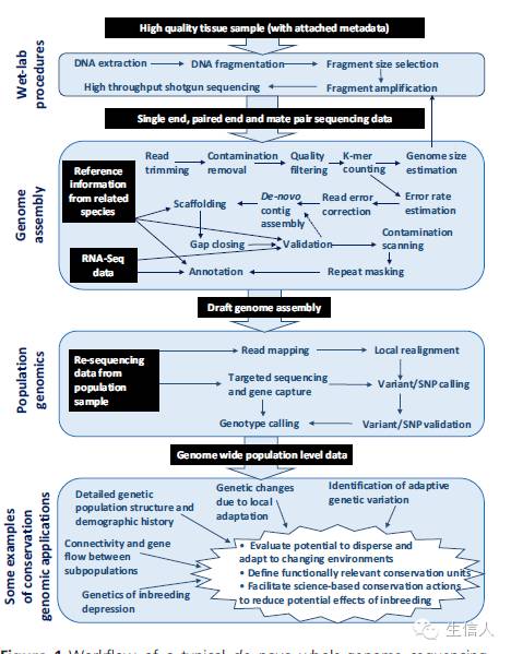 英文版基因组名词解释