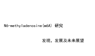 当我们谈起m6A，我们在聊什么