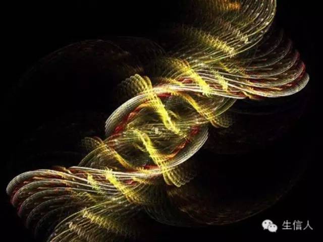 人外显子测序测序知识