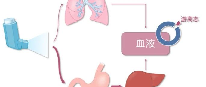 6+|肿瘤药代动力学预后分析