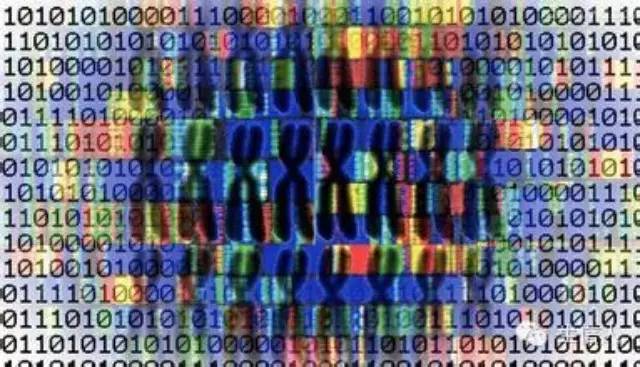 GCE 评估基因组大小