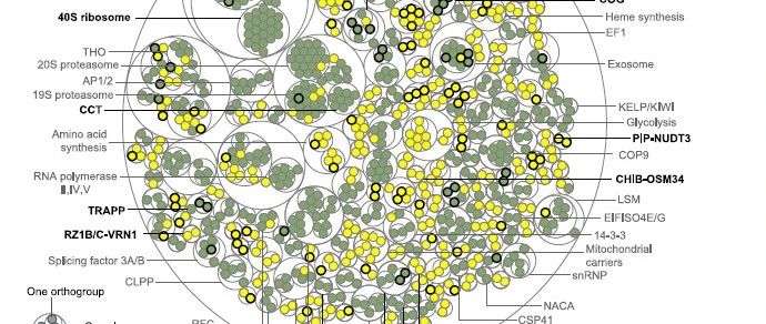 Cell重磅|详细解读最全的植物泛蛋白质图谱