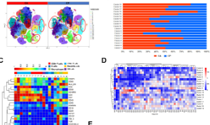 《Cancers》 | 单细胞蛋白质组学干湿结合分析解析肌肉浸润性膀胱癌肿瘤微环境的复杂性