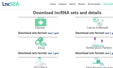lncRNA富集分析利器-lncSEA