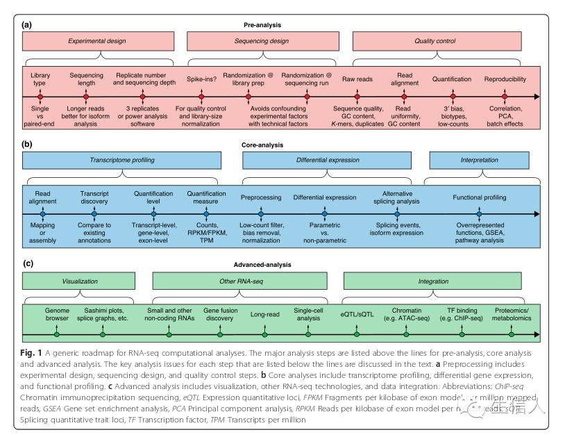 转录组分析综述