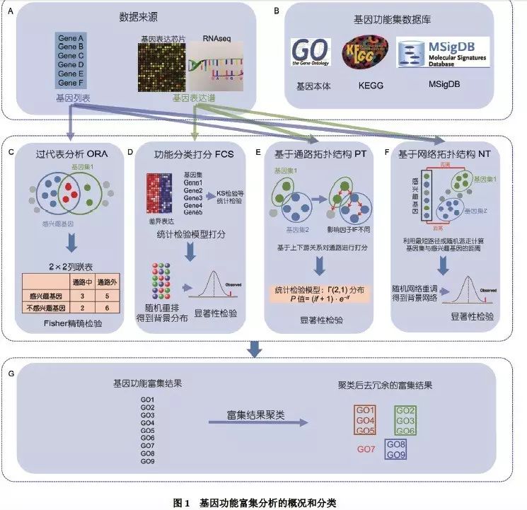 基因功能富集分析的研究进展